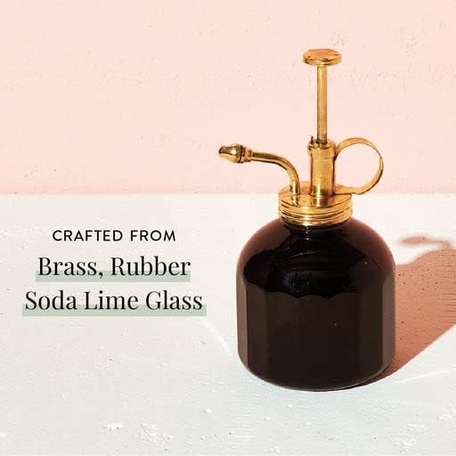 Modern Sprout Plant Mister, 8 oz Indoor Watering Can, Aesthetic Plant Sprayer & Water Mister Spray Bottle, Garden Watering Can for Seed Starting, Vintage-Inspired Gift for Green Lovers - Black