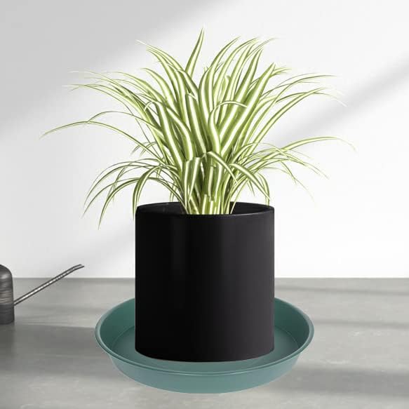 6 Pack Plant Saucer Tray Green, 4 6 8 10 12 13 15 17 19 inch Pot Saucers, Heavy Duty Plastic Plant Saucers for Indoors, Plant Drip Tray, Plant Trays for pots Planter (6", Green)