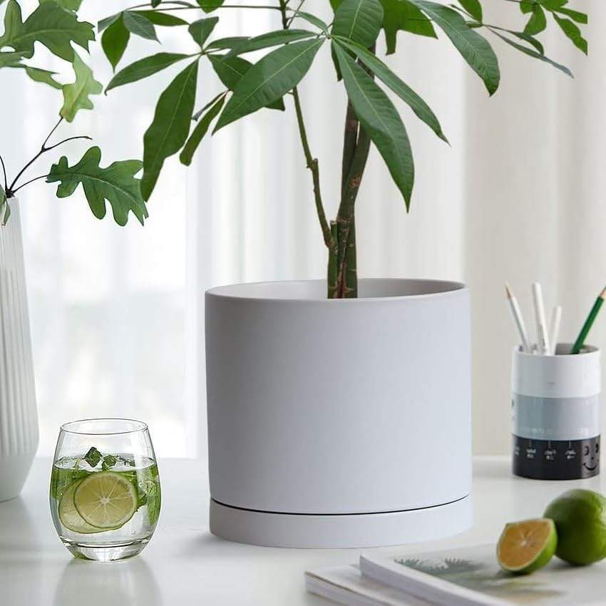 2 Pack Ceramic Plant Saucer Pot Tray 8 Inch, Planter Saucers 4 5 6 7 8 9 10 11 12 Inch for Indoors Outdoor, Durable Sturdy Flower Drainage Tray for Glazed Pots Base (8.5 Inch White)