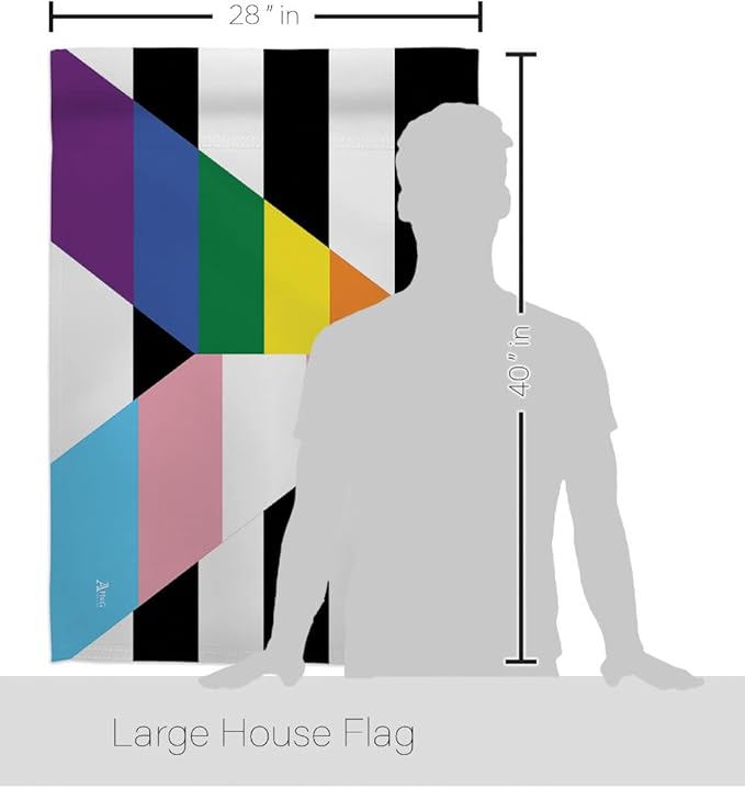 LGBTQ Pride Month Flag Gay Trans Straight Ally House Flags Decorations Home Decor Gifts Small Rainbow Bandera Indoor Banner July 4th Patriotic Decor Outdoor Bisexual Pansexual Transgender Lawn Porch Outdoor Wall Tapestry Made In USA