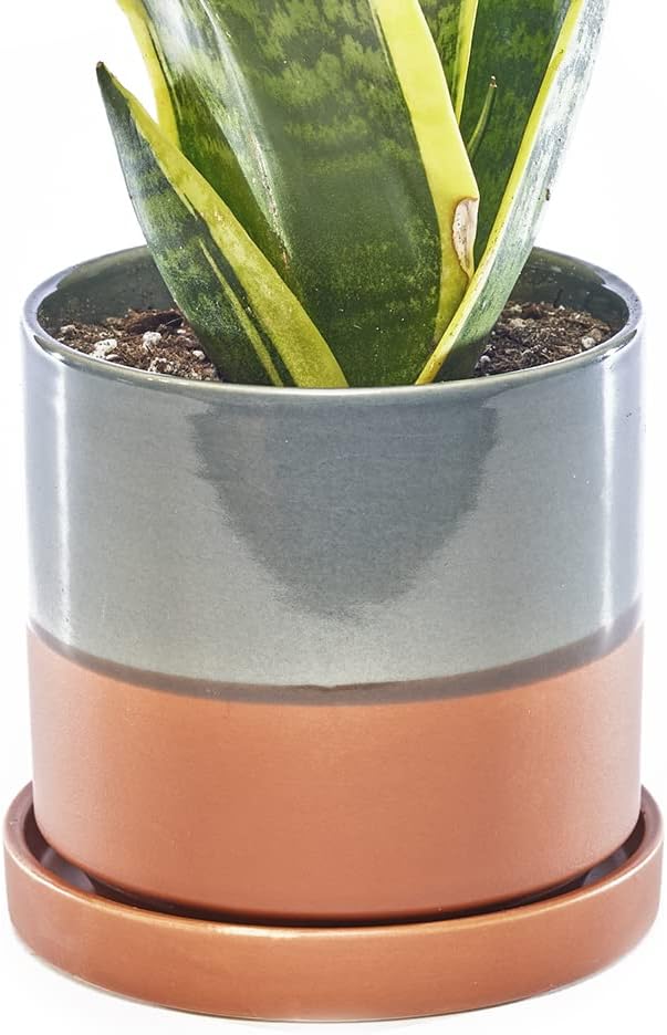 CHIVE ‘Minute’ Ceramic Planter Pot — Cute 5” Colorful Succulent Pots for Indoor & Outdoor House Plants — Beautiful Modern Farmhouse Kitchen Decor — Terracotta