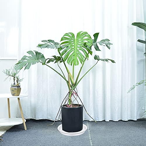 4 Pack of 14 inch Plant Saucers, Plant Saucer 14" Round, Plastic Plant Tray for Flower Pots, White Planters for Indoor Plants, Plant Trays for Planter 12-15" (14", Creamy White)