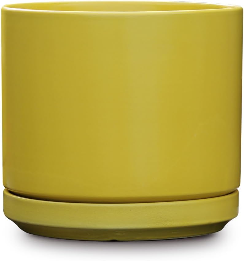 Ceramic Mid Modern Planter Pots with Detached Saucer - Indoor/Outdoor Plant Pots with Drainage Hole