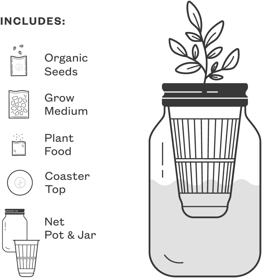 Modern Sprout Mason Garden Jar - Self-Watering Hydroponics Growing System Kit with Organic Herb Seeds - Jar Planter for Indoor Herb Garden - Seed Starter Kit - Home Decor & Gifting - Basil+Mint