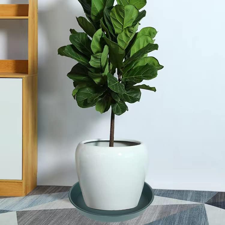 4 Pack of 14 inch Plant Saucer, Heavy Duty Round Plant Trays for Pots, Plastic Plant Water Tray, Bird Bath Bowls, Plant Saucers for Indoors, Drip Trays for Planter 12-14" (14", Green)