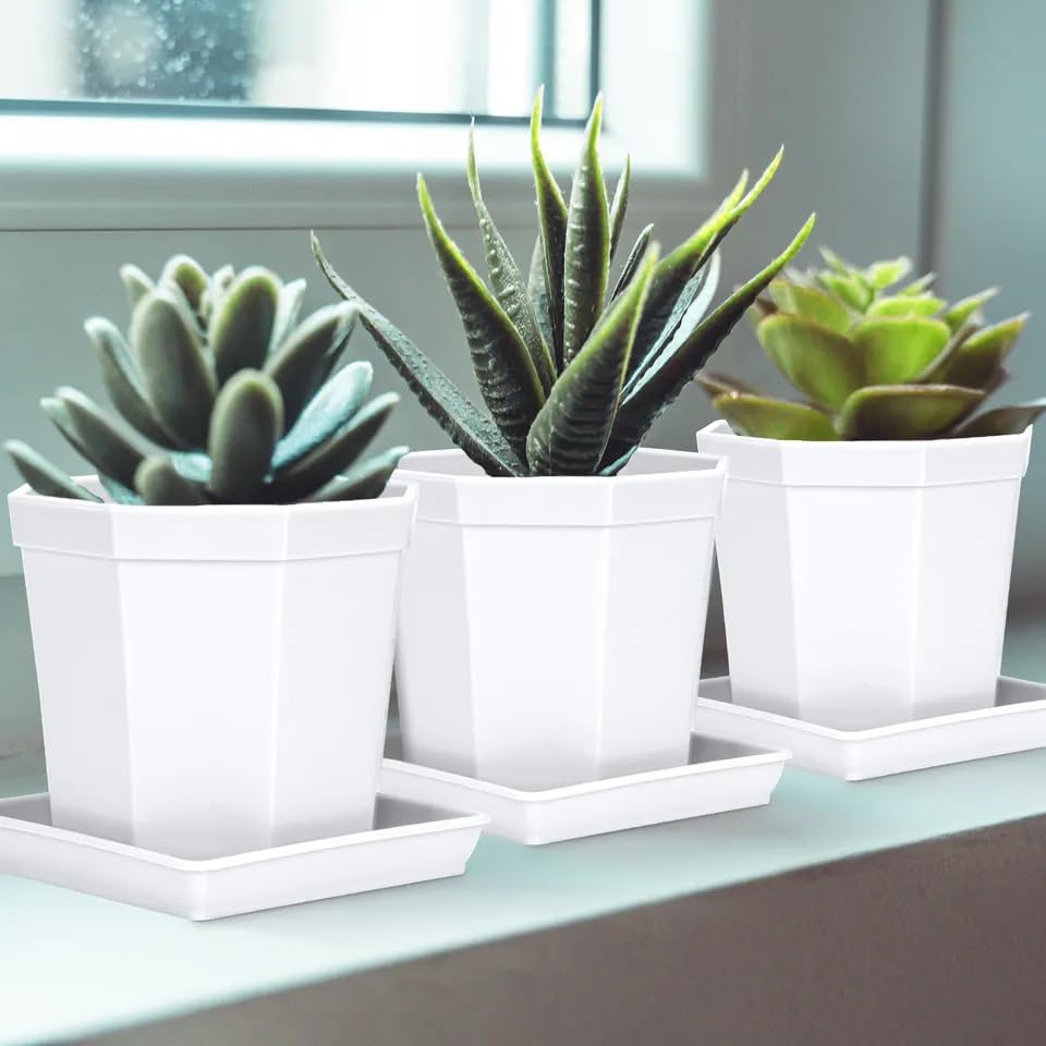 Square Plant Saucer 14 Inch 2 Pack, Durable Plastic Plant Trays Plant Pot Saucers, Square Planters for Indoors and Outdoors Plants, Garden Large Plant Saucers for Pots Black.