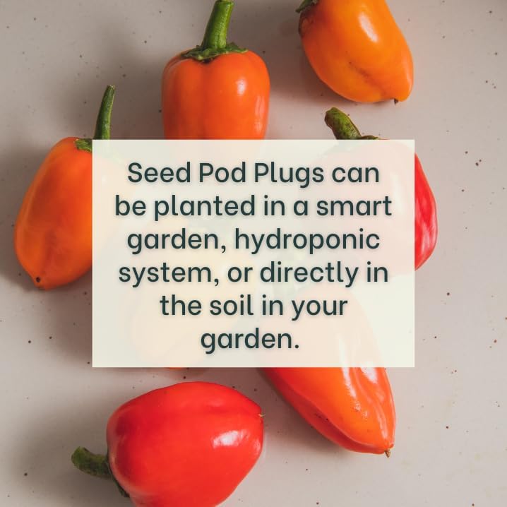 Mini Belle Pepper Mix - Complete Seed Pod Plugs with Plant Food - 10 Pods for Hyrdoponic Gardens, Click and Grow, Lettuce Grow and Outdoor Gardens
