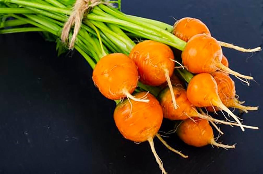 Round Baby Parisian Carrots Seeds A Delicacy Prised by Gourmet Restaurants Delicious Carrot Vegetable - 1000 Seeds