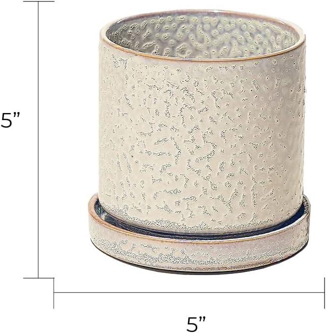 CHIVE ‘Minute’ Ceramic Planter Pot — Cute 5” Colorful Succulent Pots for Indoor & Outdoor House Plants — Beautiful Modern Farmhouse Kitchen Decor — Ivory Speckle