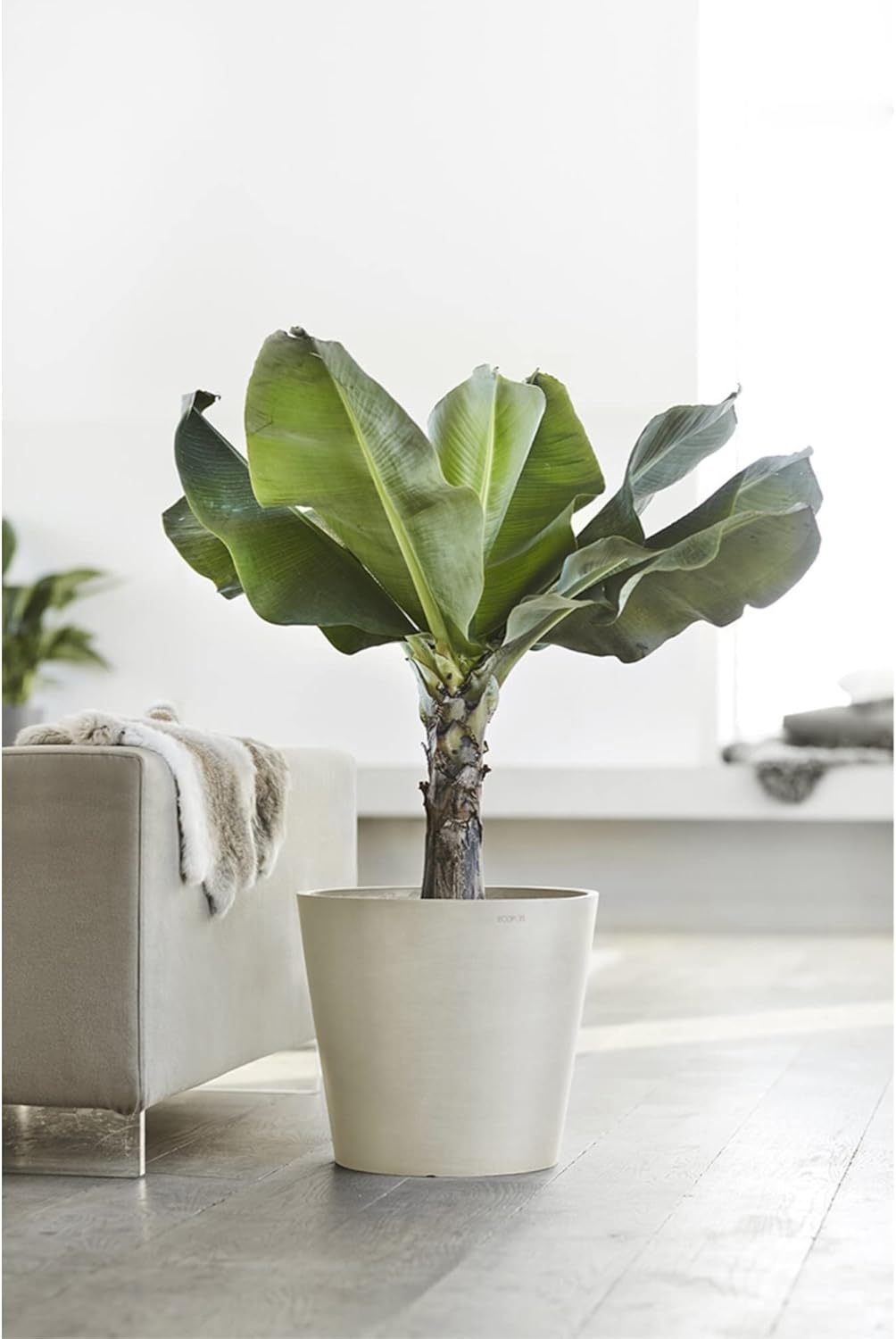 Ecopots Amsterdam Durable Modern Round Indoor/Outdoor Recycled-Based Composite Flower Pot Planter, White Grey, 16"