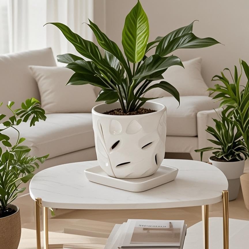 Square Plant Saucer 6 Inch 2 Pack，Plant Trays for Pots, White Ceramic Plant Saucers for Indoors Outdoors, Plant Drip Tray 4 6 8 10 12 14 Inch