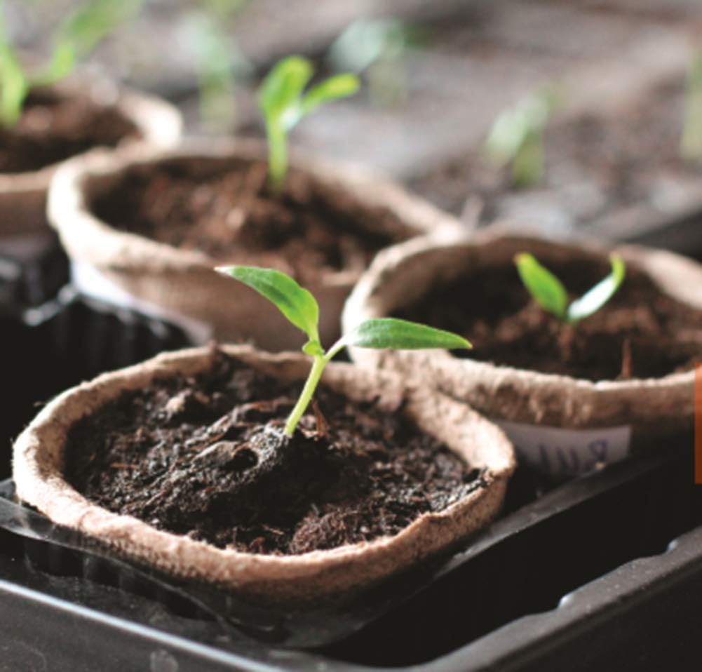 100 Pack 3 inches Biodegradable Seedling Peat Pots for Plants Seed Starter, Indoor Planting Cups for Seedlings with 100 Pack Plant Markers