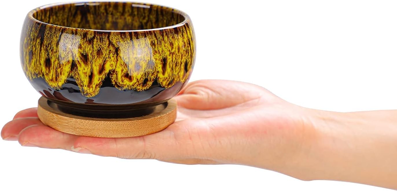 Cute Ceramic Succulent Garden Pots, Planter with Drainage and Attached Saucer, Set of 5 -Plants Not Included (Round)