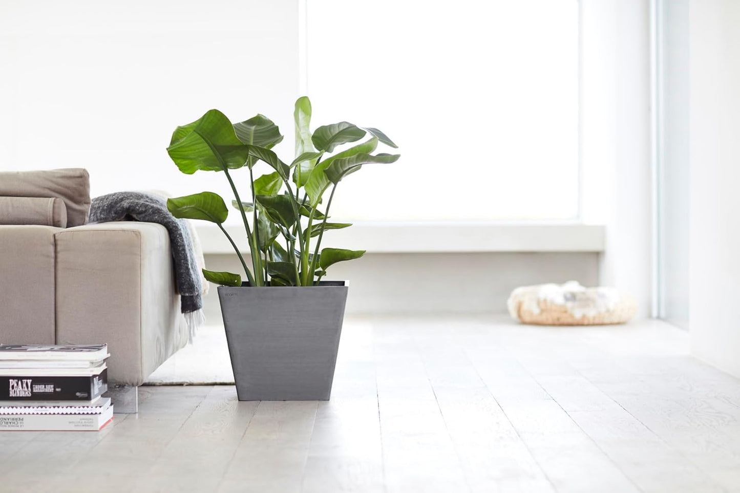 Ecopots Rotterdam Durable Modern Square Indoor/Outdoor Recycled-Based Composite Flower Planter, Grey, 15.75"