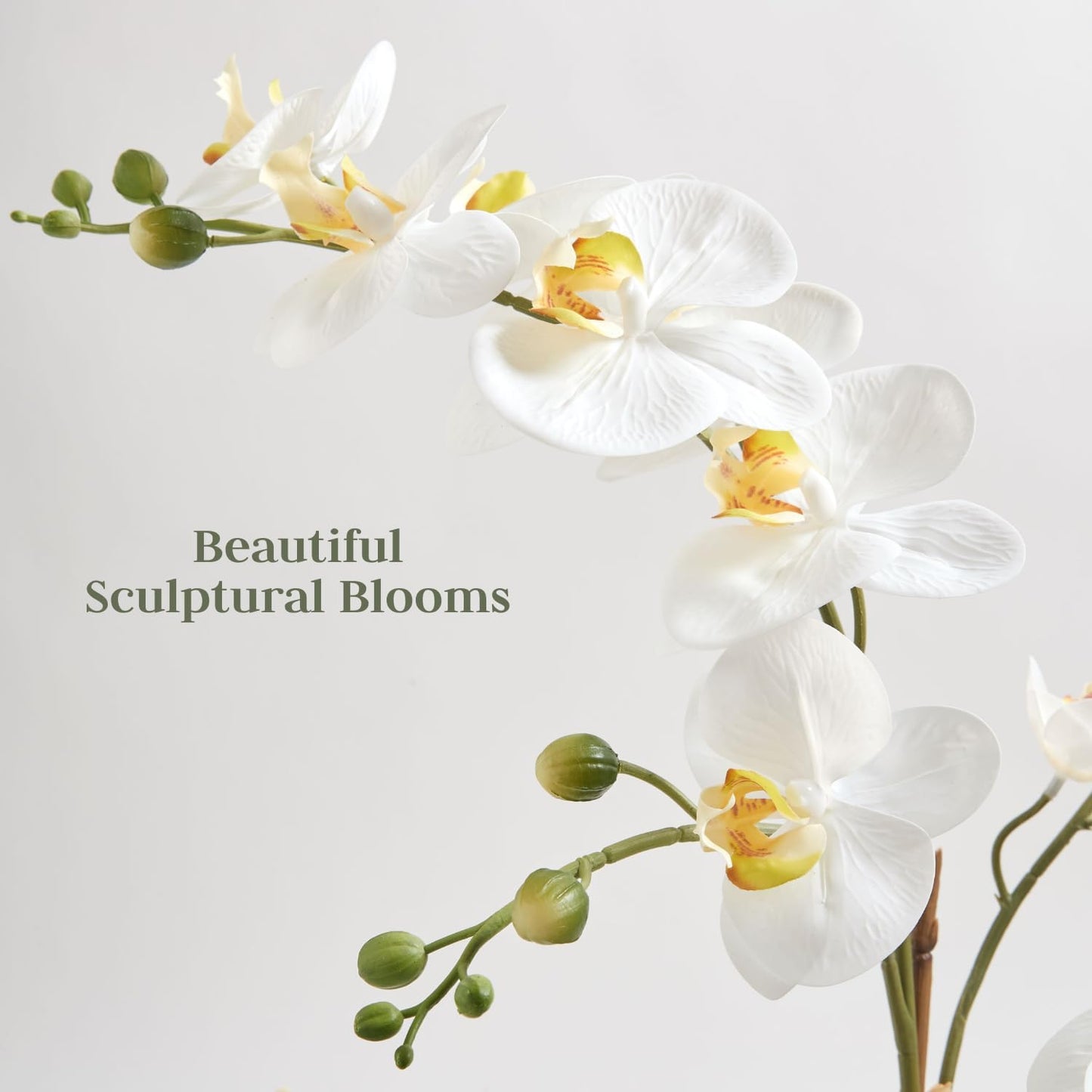 Faux Orchid Plant w/Succulents, Premium Artificial Indoor Flower Display Stands 24” w/Beautiful Sculptural Blooms and Succulents That Lasts Forever, Grey Planter Pot Included