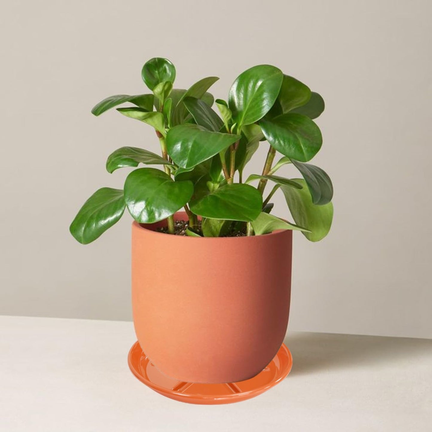 6 Pack of Plant Saucer 12 inch, Large Heavy Duty Plastic Bird Bath Bowl, Plant Drip Trays for Indoors Outdoor, Plant Water Tray for Planters, Red