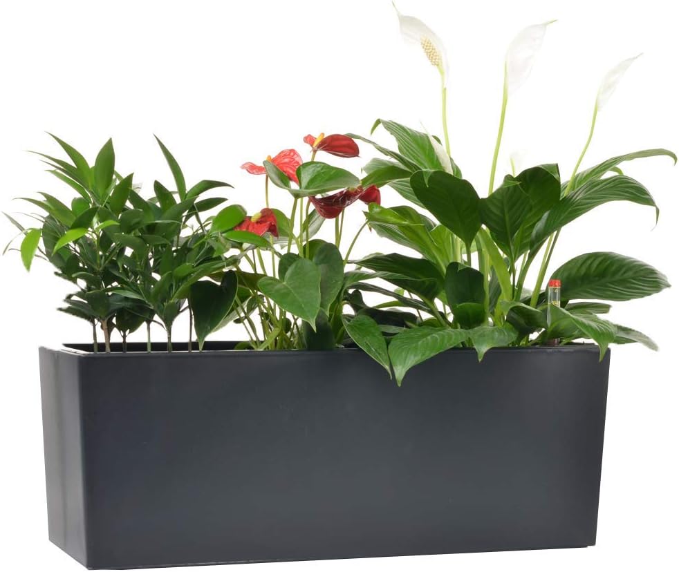 GardenBasix Self Watering Planter Pots 7.5 x 20 inch Indoor Outdoor Home Garden Herb Flower Pot for Hanging Railing Balcony Tabletop (Black,7.5''x 20'')