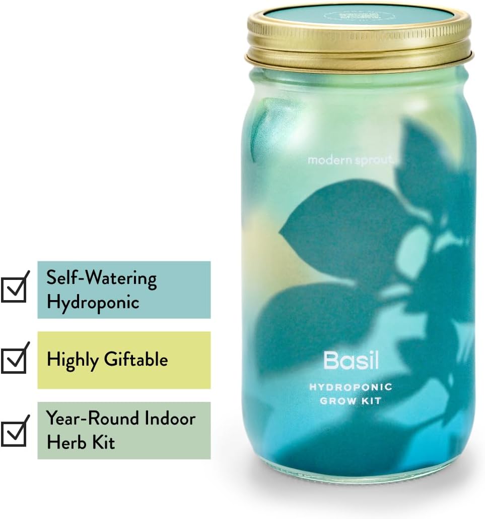 Modern Sprout Mason Garden Jar - Self-Watering Hydroponics Growing System Kit with Organic Herb Seeds - Jar Planter for Indoor Herb Garden - Seed Starter Kit - Home Decor & Gifting - Basil