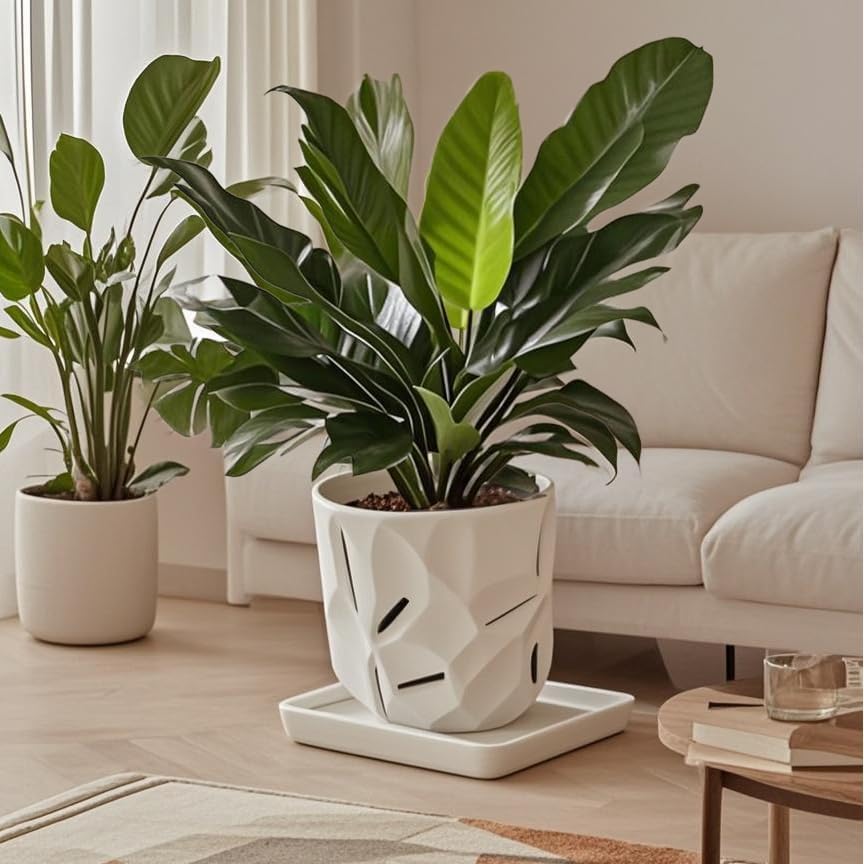 Square Plant Saucer 12 Inch 1 Pack，Plant Trays for Pots, White Ceramic Plant Saucers for Indoors Outdoors, Plant Drip Tray 4 6 8 10 12 14 Inch