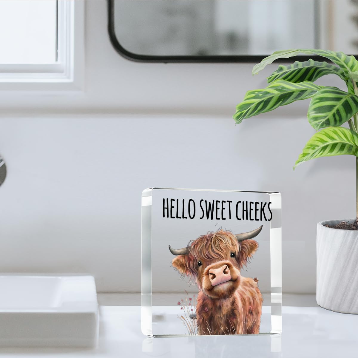 Highland Western Cow Bathroom Decor Gifts,Hello Sweet Cheeks Funny Acrylic Sign Bathroom Decor for Western & Highland Cow Lovers Gifts for Coworker, Friends, Boss, Men, Women 4x4 Inch