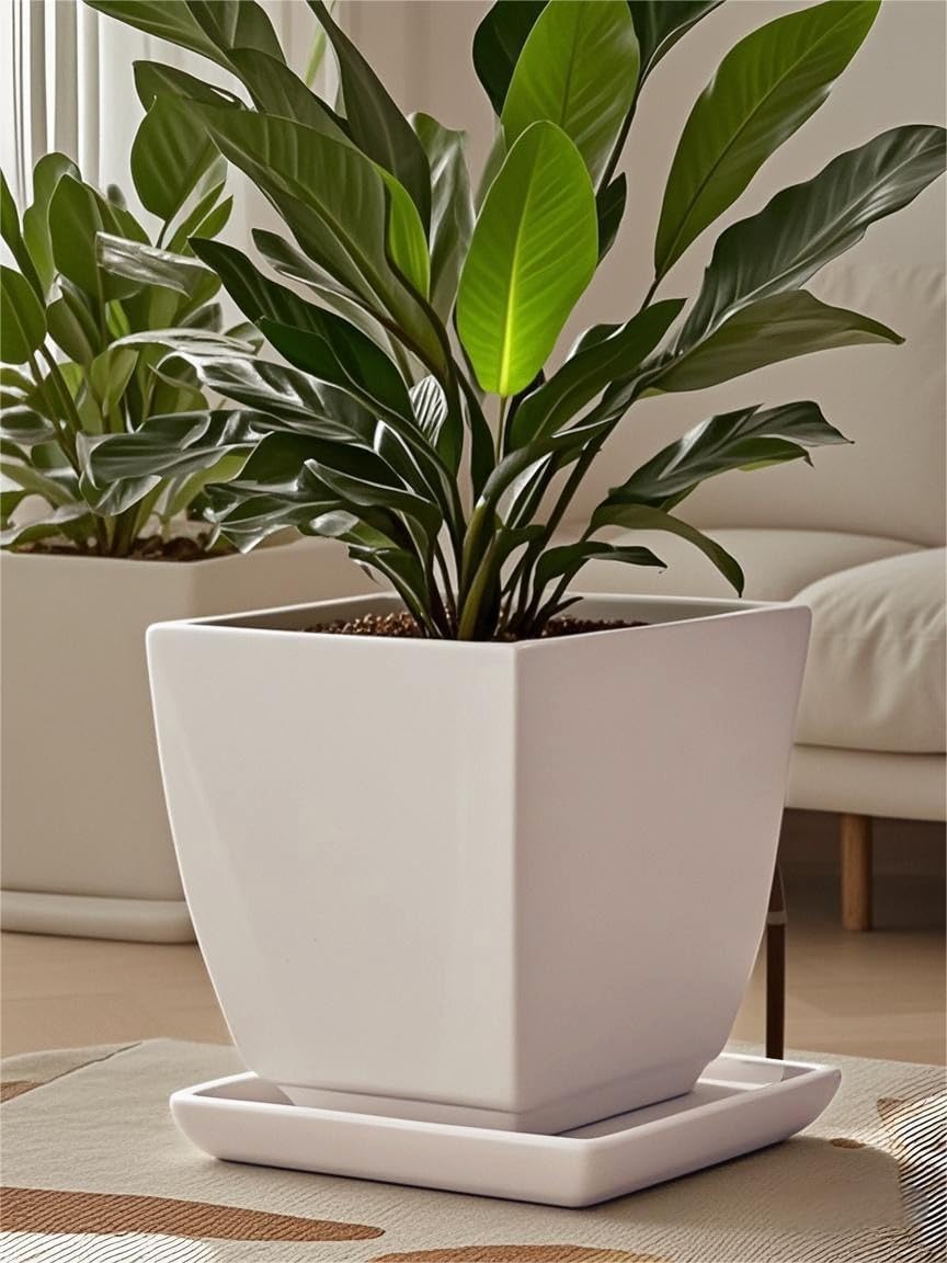 Square Plant Saucer 12 Inch 1 Pack，Plant Trays for Pots, White Ceramic Plant Saucers for Indoors Outdoors, Plant Drip Tray 4 6 8 10 12 14 Inch