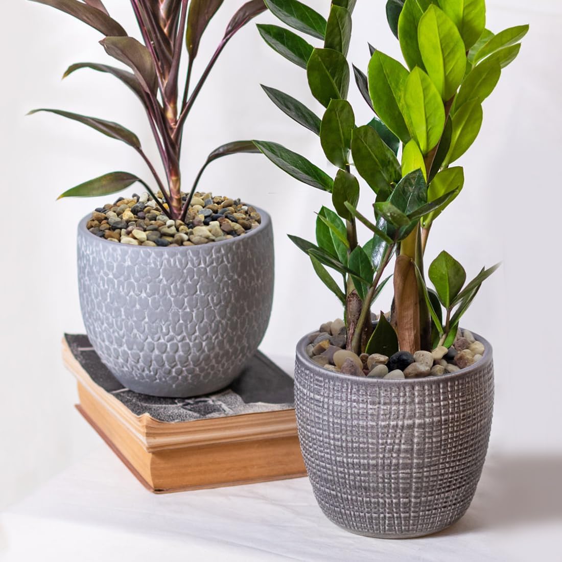 5lbs Aquarium Gravel, 1/4" Fish Tank Gravel Natural River Rocks Succulent Cactus Pea Gravel for Plants, Pebbles for Gardening, Flower Pots, Vase Fillers, Indoor Water Fountains, Landscaping