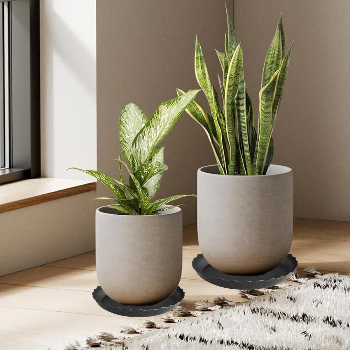 6 Pack Plant Saucer 8 inch, Heavy Duty Plastic Plant Water Tray, Planter Saucers, Flower Pot Tray Water Trays for Plant Pots (Black)