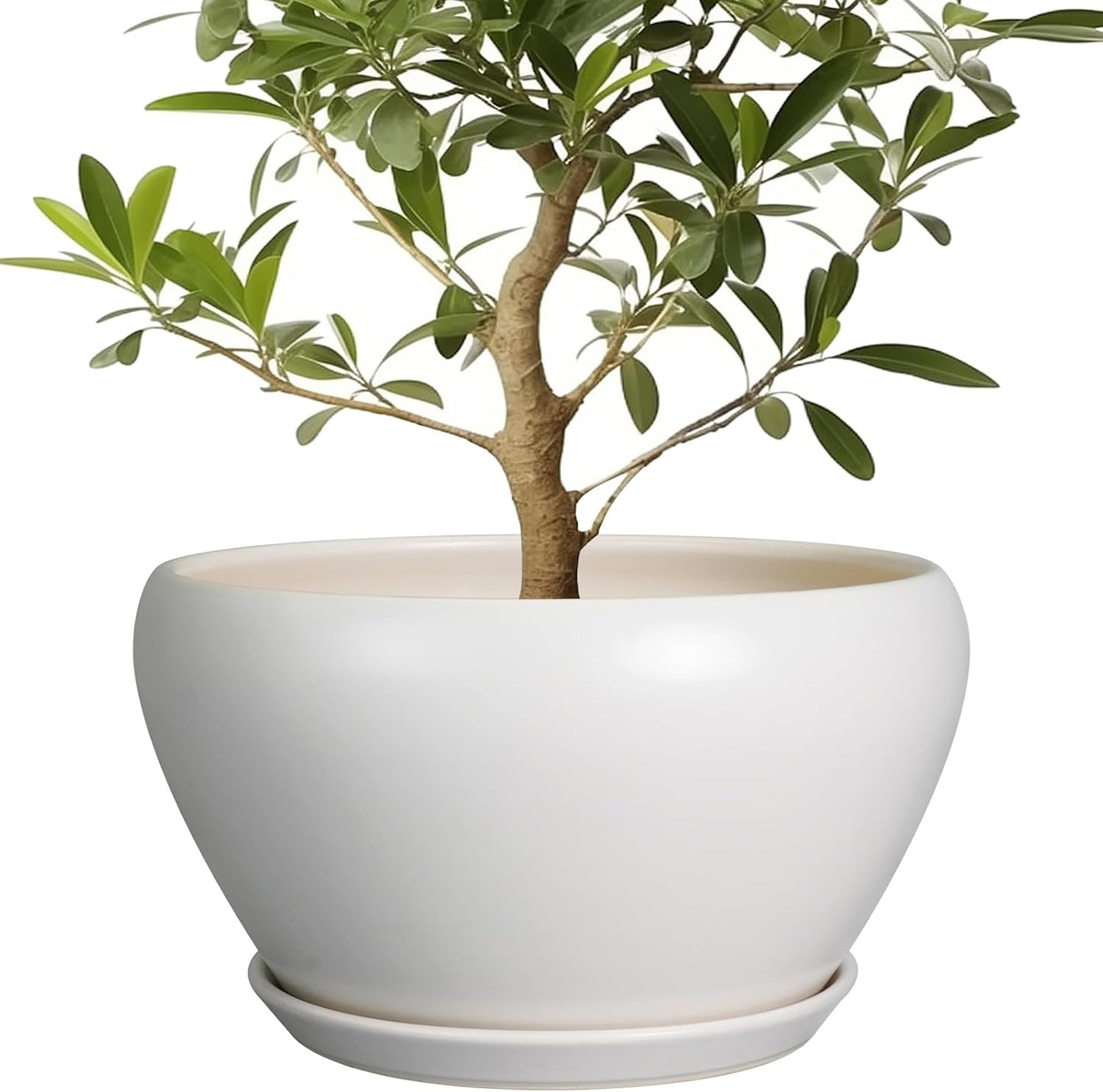 Planter for Indoor Plants 13 Inch - Ceramic Plant Pot with Drainage Hole and Saucer Decorative Round Large Planter Pot for Plants Outdoor Flower Pot for Room Decor White