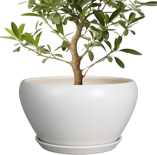 Planter for Indoor Plants 13 Inch - Ceramic Plant Pot with Drainage Hole and Saucer Decorative Round Large Planter Pot for Plants Outdoor Flower Pot for Room Decor White