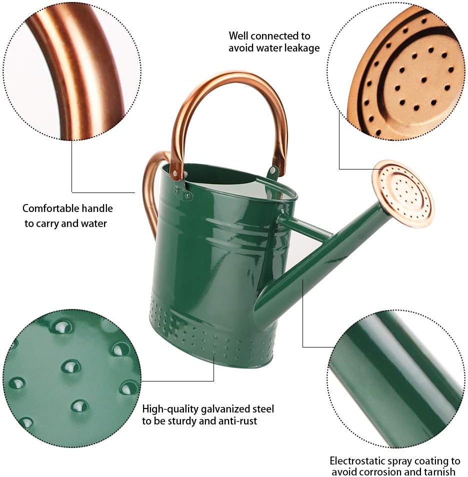 1 Gallon Metal Watering Can with Removable Spout, Nice Galvanized Steel Water Can with Embossed Design for Indoor and Outdoor Plants