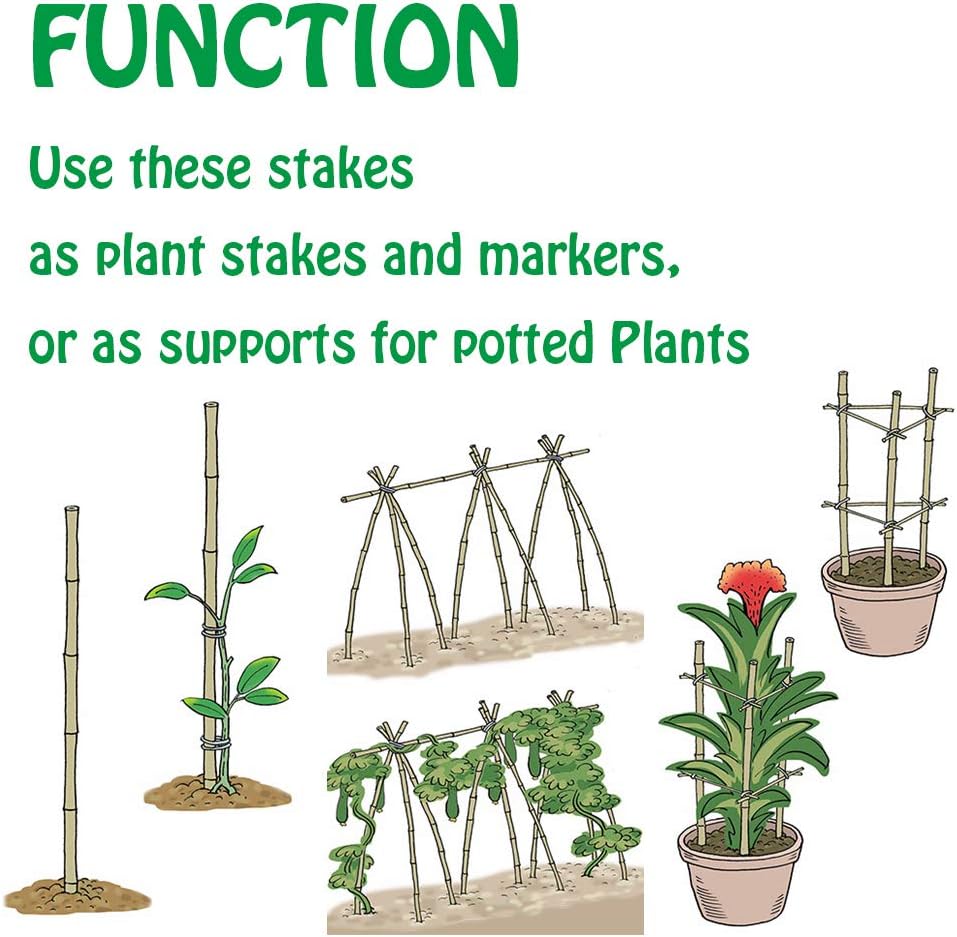 Mininfa Natural Bamboo Stakes 4 Feet, Eco-Friendly Garden Stakes, Plant Stakes Supports Climbing for Tomatoes, Trees, Beans, 25 Pack