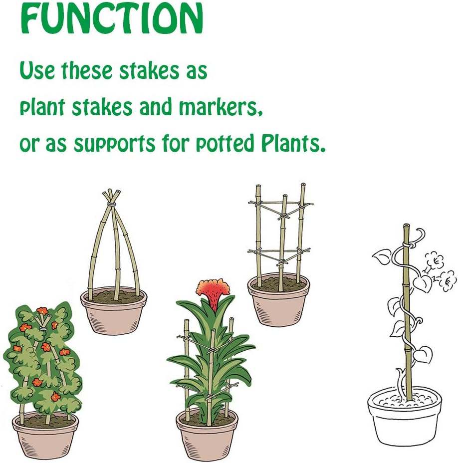 Mininfa Natural Bamboo Stakes 3 Feet, Eco-Friendly Garden Stakes, Plant Stakes Supports Climbing for Tomatoes, Trees, Beans, 25 Pack