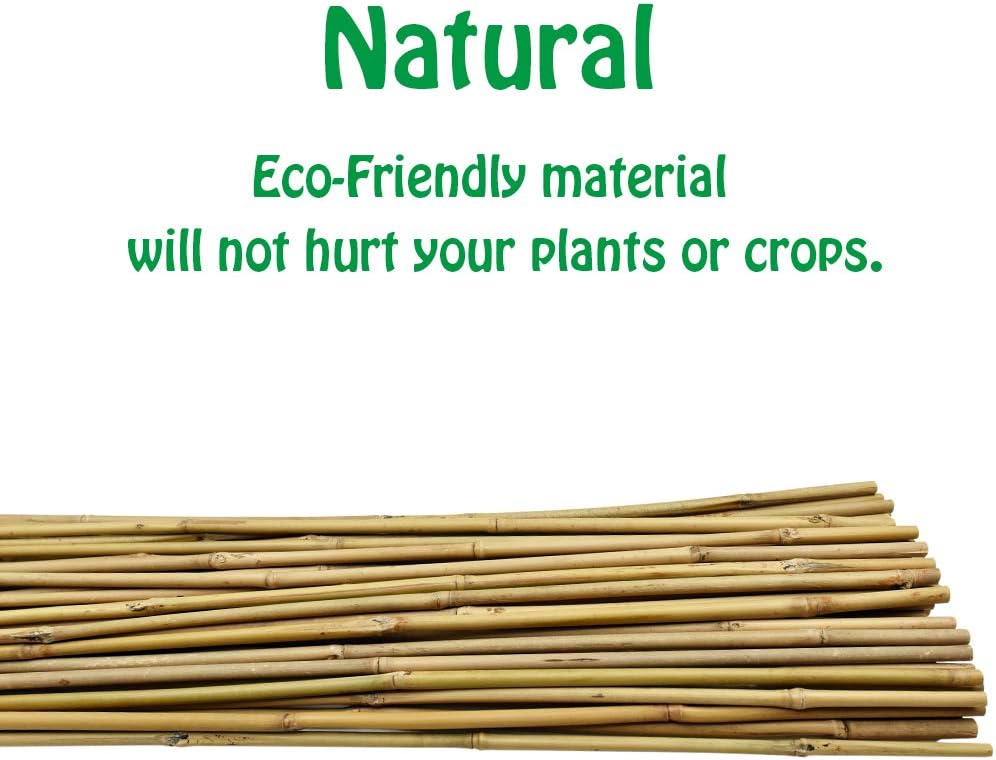 Mininfa Natural Bamboo Stakes 4 Feet, Eco-Friendly Garden Stakes, Plant Stakes Supports Climbing for Tomatoes, Trees, Beans, 25 Pack
