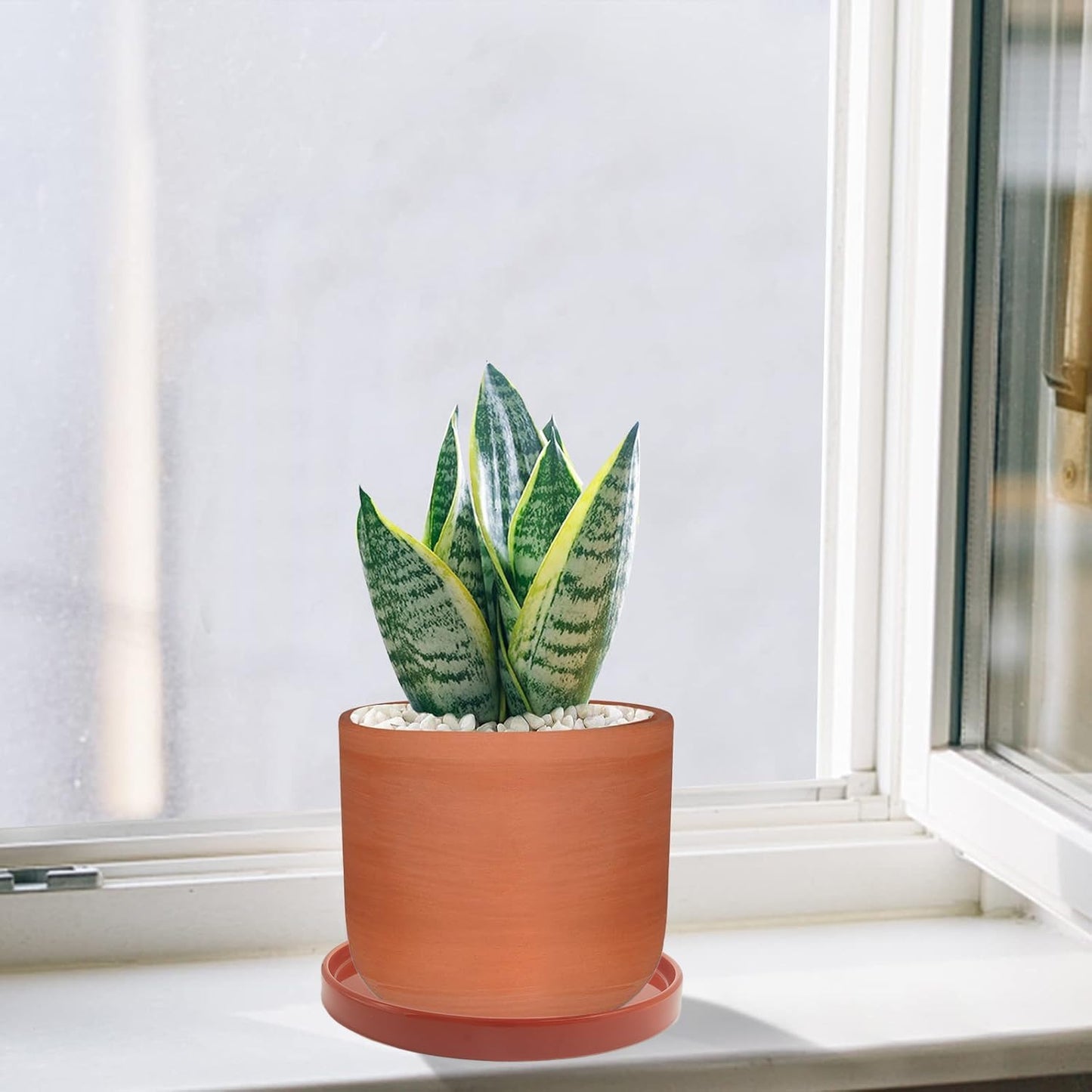 Ceramic Plant Saucer Pot Tray 8.5 Inch, Planter Saucers 6 7 8 9 10 11 12 15 Inch, Durable Sturdy Flower Drainage drip Water Tray for Glazed Pots Base (8.5 Inch- Red Terracotta)