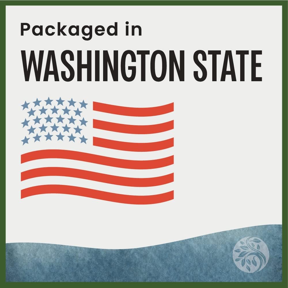 MagJo Jasmine Dragon Pearls, Rolled Green Tea 1 lb