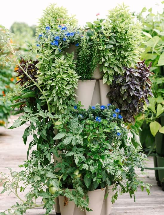 Greenstalk Patented Large 5 Tier Vertical Garden Planter with Patented Internal Watering System Great for Growing a Variety of Strawberries, Vegetables, Herbs, & Flowers (Stunning Stone)