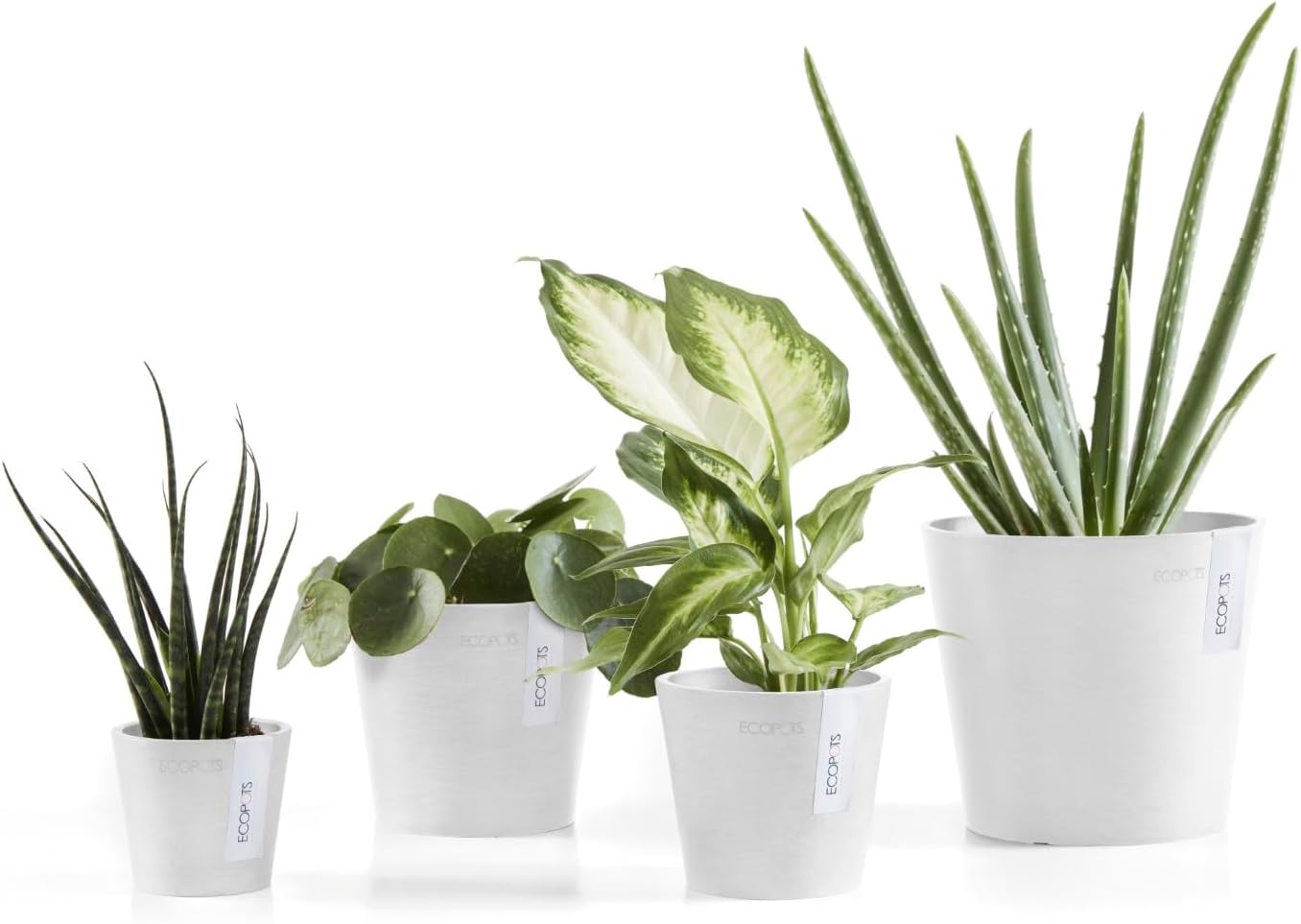 Ecopots Amsterdam Mini Durable Modern Round Recycled-Based Composite Flower Pot Planter, Pure White, 7"