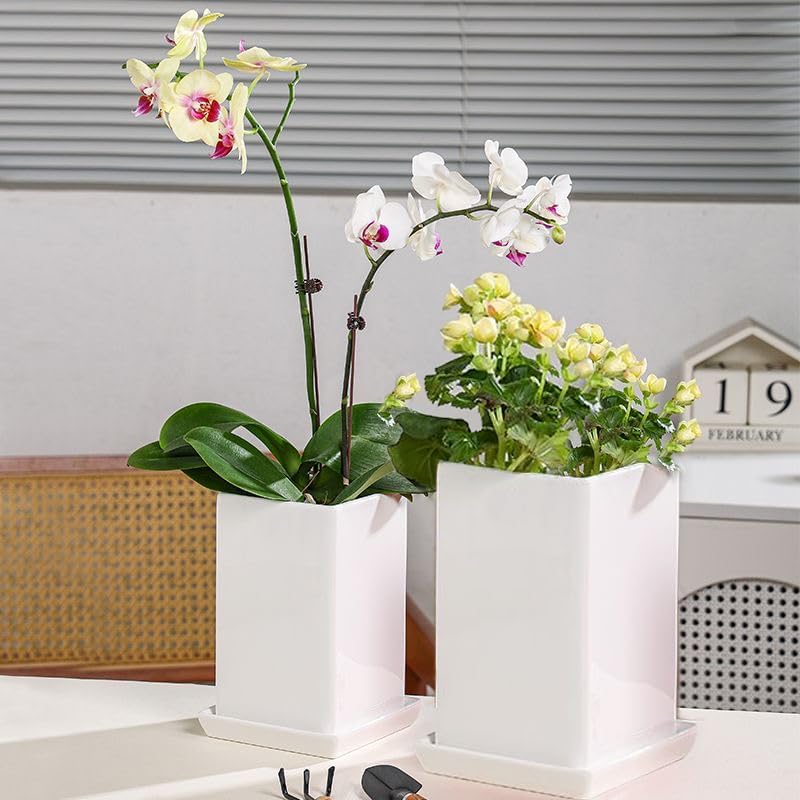 Square Plant Saucer 8 Inch 2 Pack，Plant Trays for Pots, White Ceramic Plant Saucers for Indoors Outdoors, Plant Drip Tray 4 6 8 10 12 14 Inch