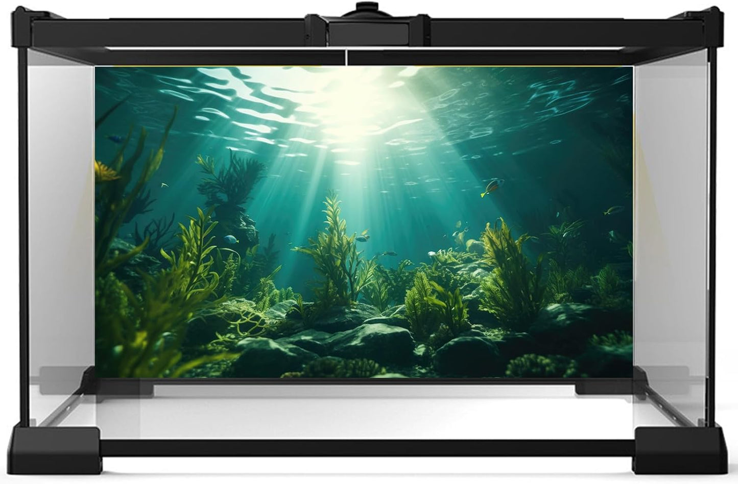 Ocean Aquarium Background Aquatic Plants with Rocks Terrarium Backdrop Sunlight Rays Deep Sea Fish Tank Background Aquarium Wallpaper Poster Decor Vinyl 48x18in