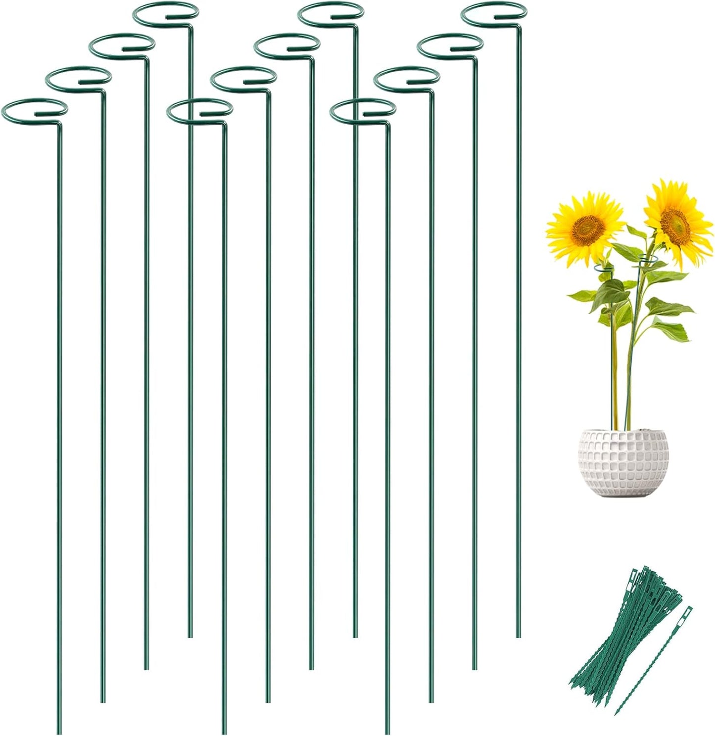 Joyhalo 12 Pack Plant Support Stakes 36 Inches, Plant Stakes, Flower Stakes with 24 Twist Ties, Garden Sticks for Plants Hibiscus, Sunflower, Red Hot Poker, Hydrangea, Tomato, Sapling Etc