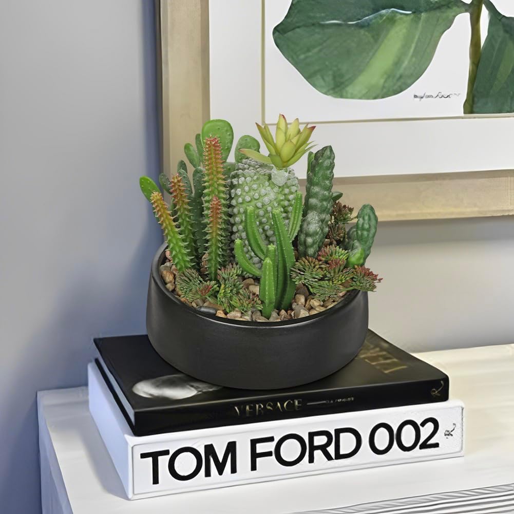 DILATATA Artificial Cactus Plants in Pot 5.5 Inch Fake Succulents Arrangement Potted Plant in Black Ceramic Planter Bowl for Home Office Desk Shelf Living Room Bedroom Bathroom Decor