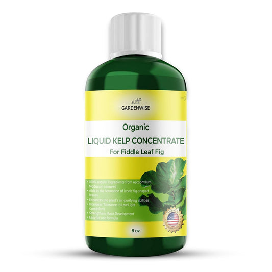Fiddle Leaf Fig Plant Food – Liquid Seaweed Kelp Fertilizer for Plants – Made in USA (8 OZ)