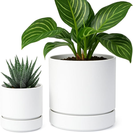 Phoenix Vine 4 Inch and 6 Inch Planter Pot with Drainage Hole & Deep Water Catch Tray Saucer, Straight Cylindrical Round Pot for Plants, Matte White, 23-A-1-Z
