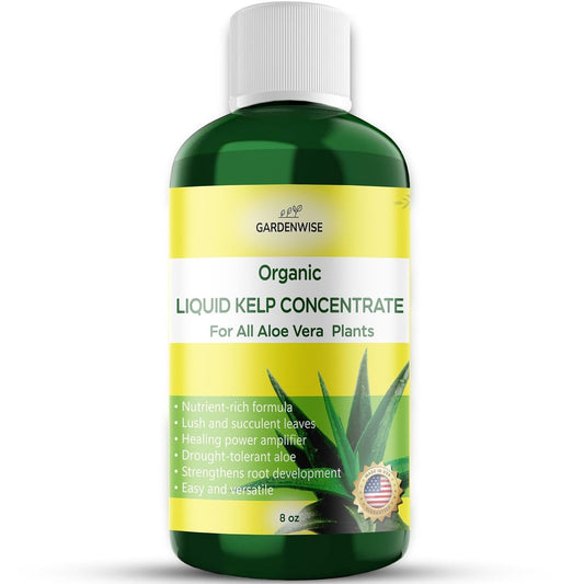 Organic Premium Kelp Seaweed Fertilizer - Liquid Hydroponics Fertilizer - Liquid Plant Food - Nutrient-Rich Soil Enhancer - Natural Plant Food for Aloe Vera (8 OZ)