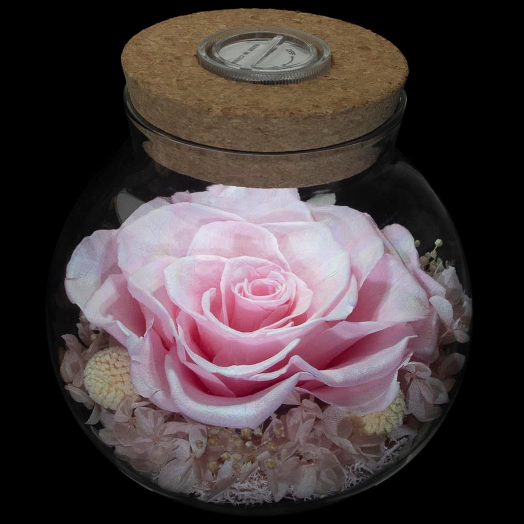 Preserved Real Roses with Colorful Mood Light Wishing Bottle, Eternal Rose，Never Withered Flowers, for Bedroom Party Table Decor, Christmas Decorations, a Gifts for Women 1pcs Pink