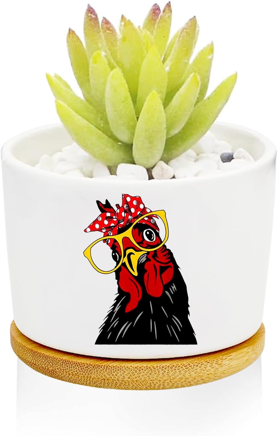 Window Garden Rooster Planter Pots,Rooster Gifts for Women/Men/Housewarming/Wedding/Festival Birthday Gifts Planter Pots,Outdoors/Indoors,Window Decor,Garden Decor,Yard Decor,Home Decor,Office