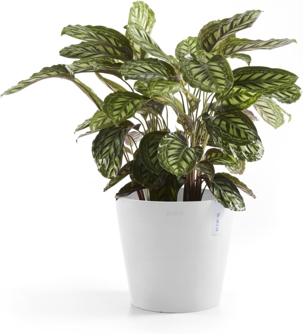 Ecopots Amsterdam Durable Modern Round Indoor/Outdoor Recycled-Based Composite Flower Pot Planter, Pure White, 12"