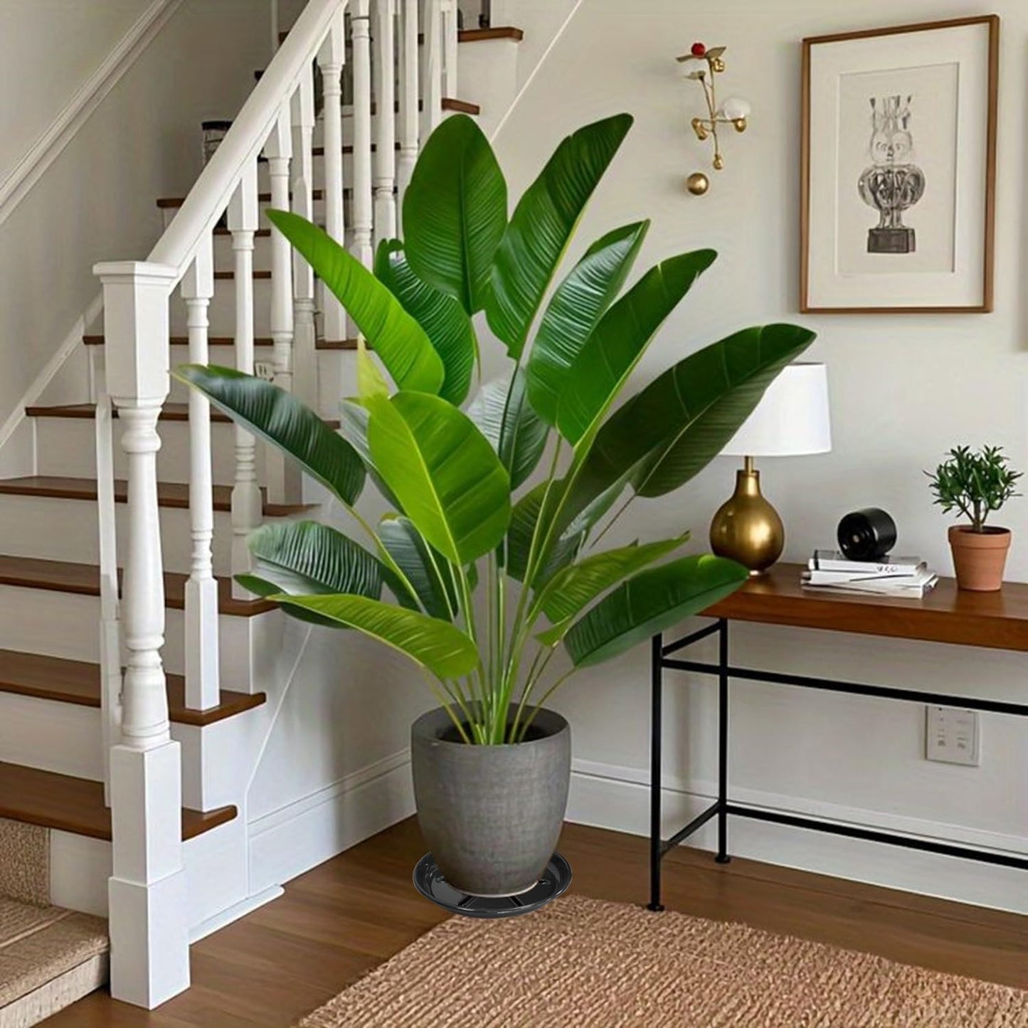 6 Pack of Plant Saucer 8 inch, Plastic Trays for Plants, Plant Drip Trays for Indoors Outdoor, Plant Water Tray for Planters, Black