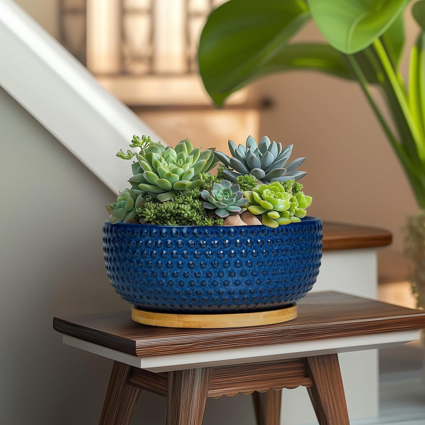 Bonsai Pots - 8 Inch Ceramic Pots for Succulent Plants & Bonsai Tree, Planter with Drainage Hole and Saucer, Modern Round Decorative Flower Planters, House Decor, Gifts for Women Man, Blue