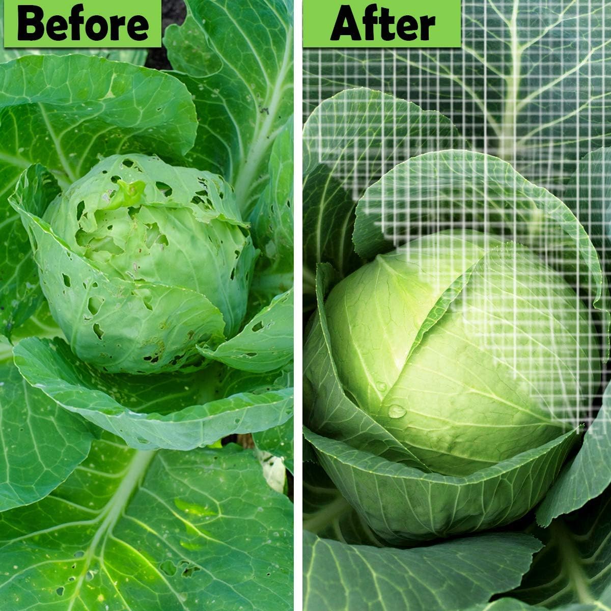 Garden Barrier Netting, Plant Covers 10x10Ft Ultra Fine Mesh Netting Protect for Vegetable Plants Fruits Flowers Crops Greenhouse Row Covers Raised Bed Barrier Screen Birds Animals Protection Net